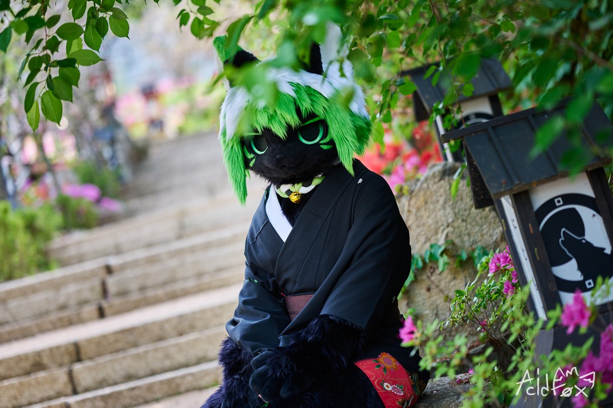 😊🌸🌱

#FursuitFriday #fursuit 

📸<a href="/_f0x15/">산여우 AcidF0x</a>