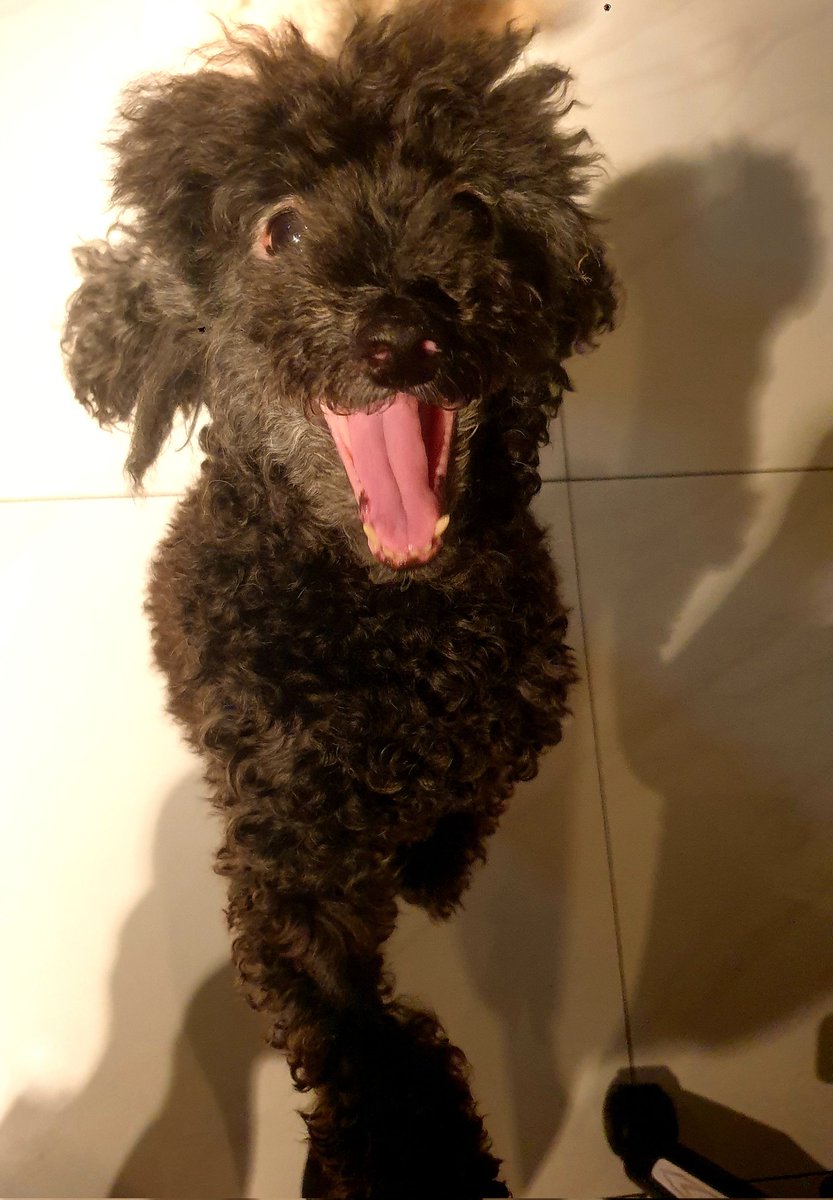 Savejupite17908's tweet photo. A Happy JUPITER! 😁
$JUPJUP #memecoin #Memes #SolanaMemeCoin #JUPARMY #JUPFAM #pumpdotfun https://t.co/2dXAu7XbpZ