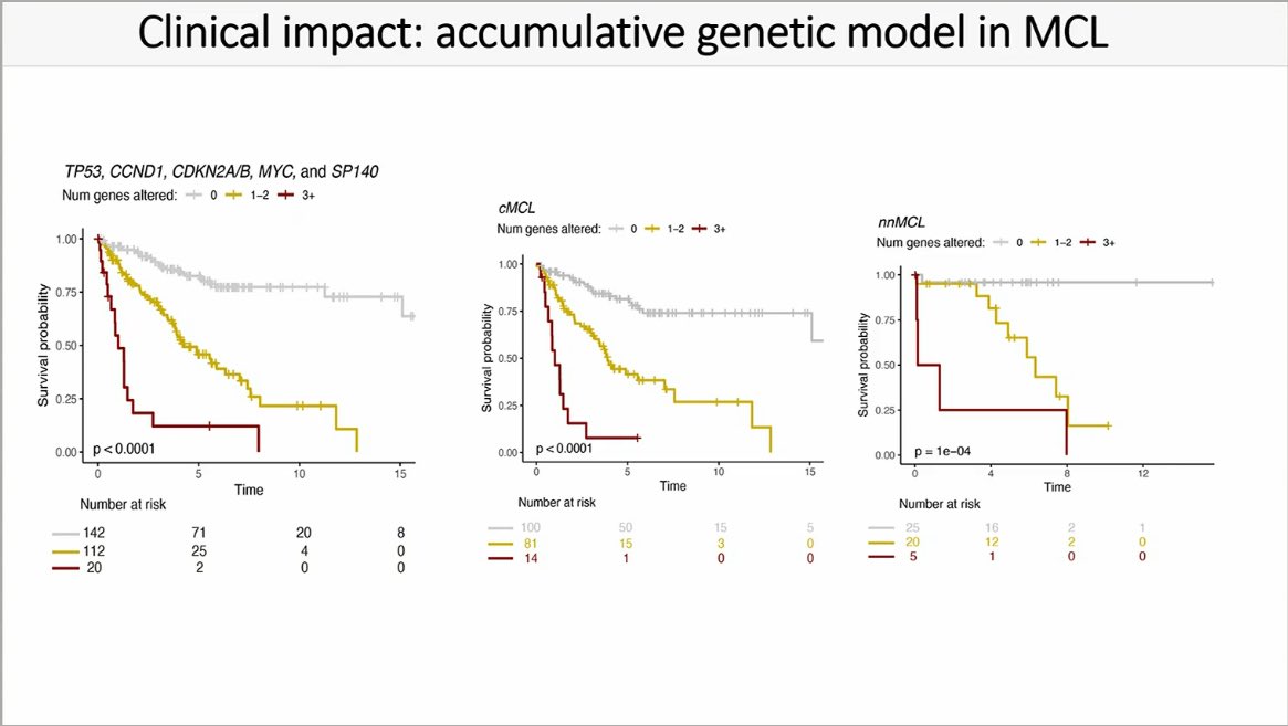Fernando Martín Moro (@fer_martinmoro) on Twitter photo What a great talk by <a href="/clopezgonz85/">Cristina Lopez Gonzalez</a> from <a href="/hematoclinicbcn/">Hematologia Hospital Clínic Barcelona</a> <a href="/hospitalclinic/">Hospital Clínic</a>!! 👏
Clinical Impact of Clonal and Subclonal Driver Alterations in Mantle Cell #Lymphoma Subtypes
At #ICML2025 #18ICML <a href="/icmlugano/">International Conference on Malignant Lymphoma</a> What a great talk by <a href="/clopezgonz85/">Cristina Lopez Gonzalez</a> from <a href="/hematoclinicbcn/">Hematologia Hospital Clínic Barcelona</a> <a href="/hospitalclinic/">Hospital Clínic</a>!! 👏
Clinical Impact of Clonal and Subclonal Driver Alterations in Mantle Cell #Lymphoma Subtypes
At #ICML2025 #18ICML <a href="/icmlugano/">International Conference on Malignant Lymphoma</a>