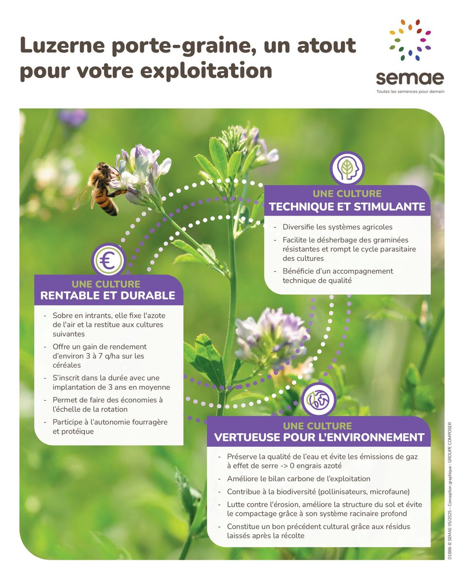La luzerne porte-graine, c’est :

🌱 Une culture qui structure les sols
💡 Un gain en autonomie protéique
🌍 Un levier pour la #biodiversité et le #climat

Durable et rentable : découvrez ses atouts plus en détail ! 👇