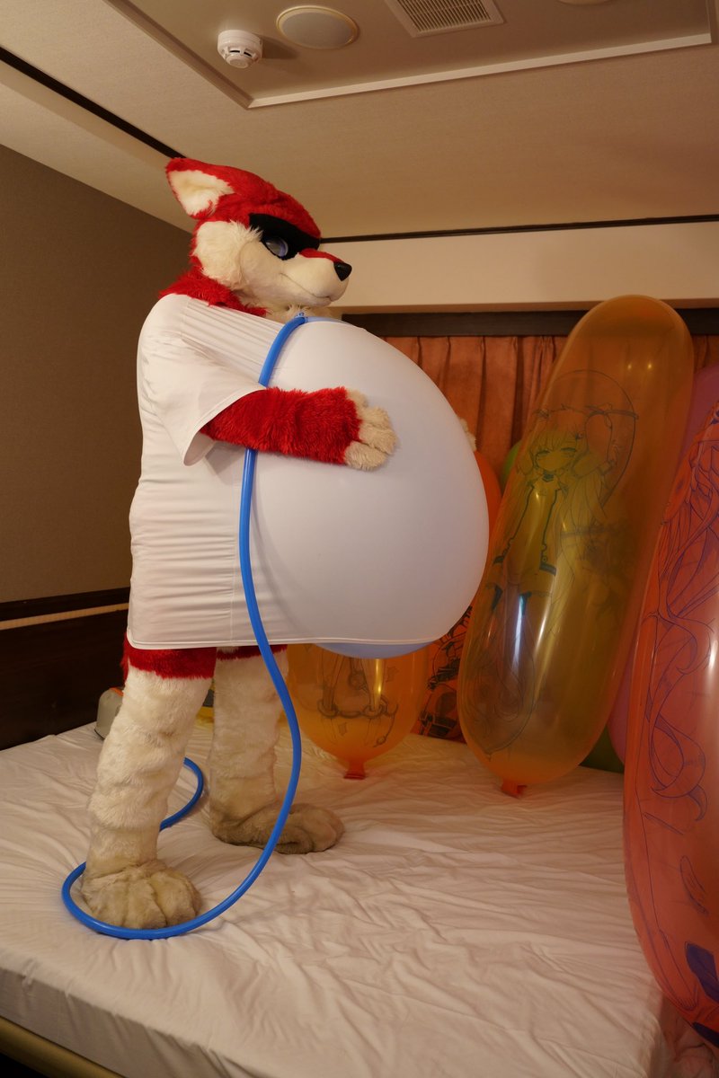 #FursuitFriday 
#FursuitsFriday 
#Looner 
#LoonerFur 
Photo by <a href="/balloonfoxy/">風狐</a>