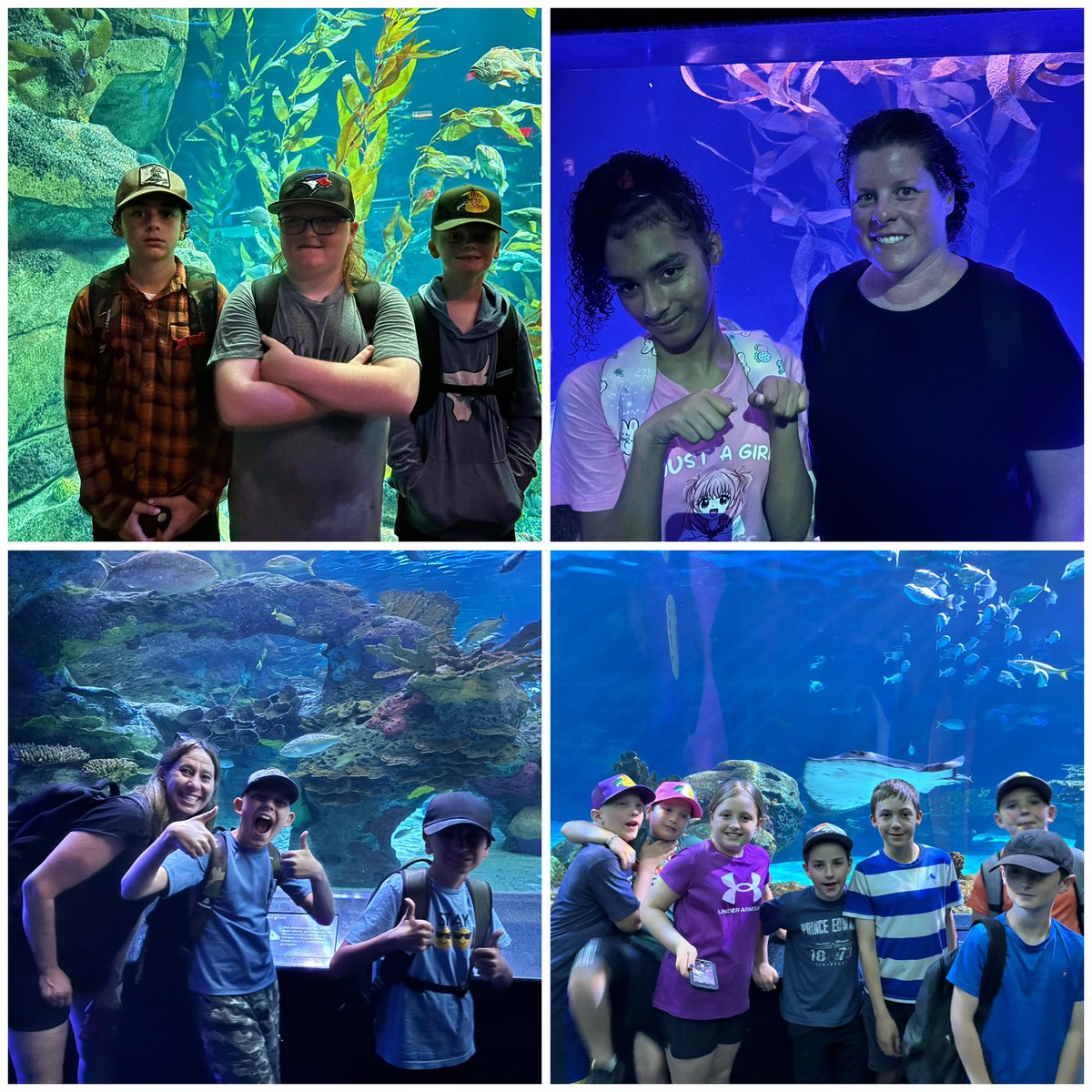stluke130's tweet image. It was a big day for our Gr 2/3, 3/4 and 5/6 classes yesterday in the big city of Toronto! Medieval Times and Ridley’s Aquarium were fantastic! Thank you to all staff and parents who attended the trip, and to our amazing bus drivers! #PVNCBeingcommunity #PVCNBeingwell
