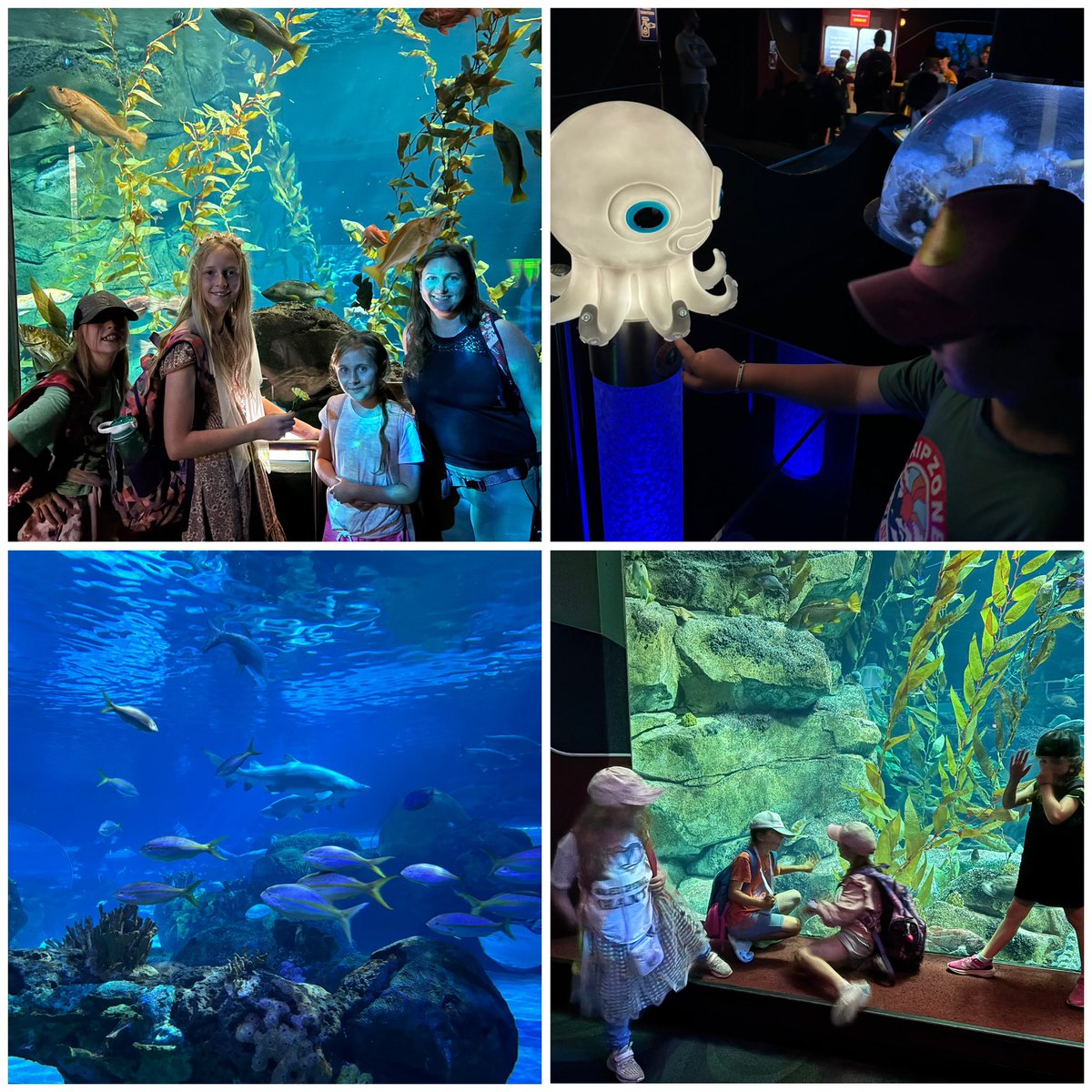 stluke130's tweet image. It was a big day for our Gr 2/3, 3/4 and 5/6 classes yesterday in the big city of Toronto! Medieval Times and Ridley’s Aquarium were fantastic! Thank you to all staff and parents who attended the trip, and to our amazing bus drivers! #PVNCBeingcommunity #PVCNBeingwell