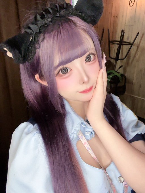 あにぽり
