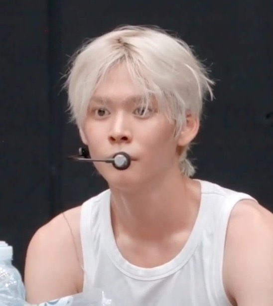 민들레돌씨 돌냥이