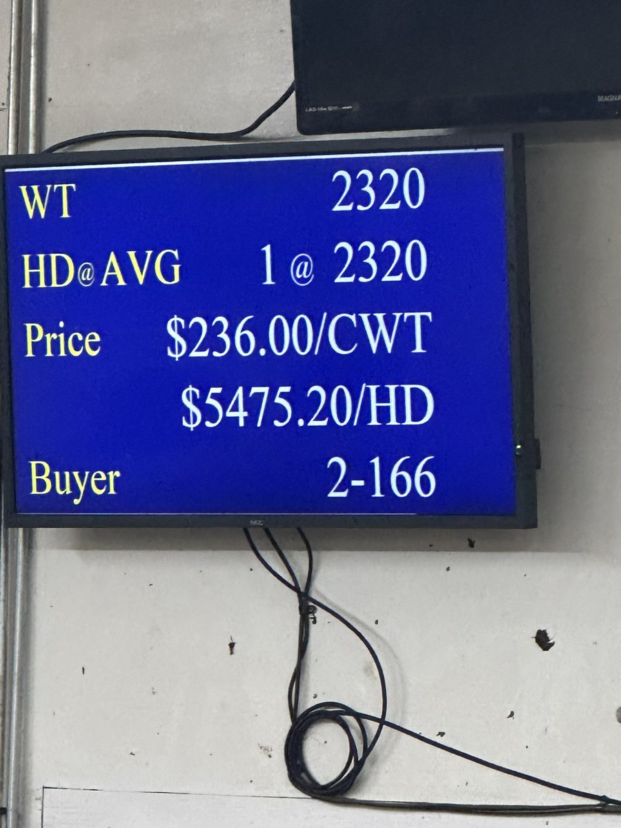 Weigh up bull market is HOT in Dickinson ND!