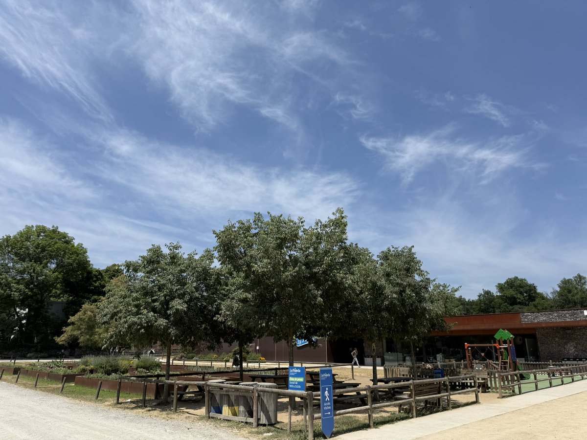 Ramon Costa tweet media