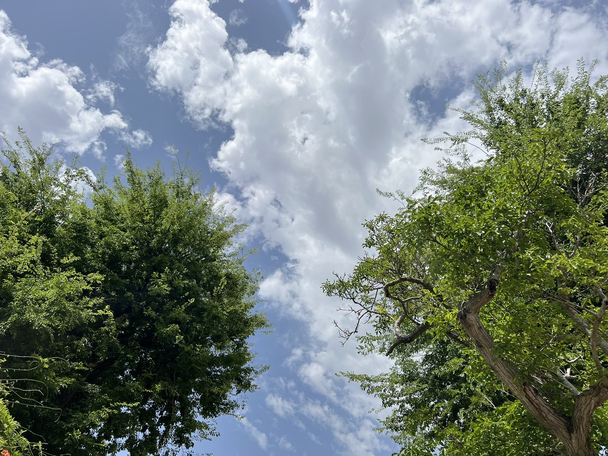 Rui Paiva tweet media