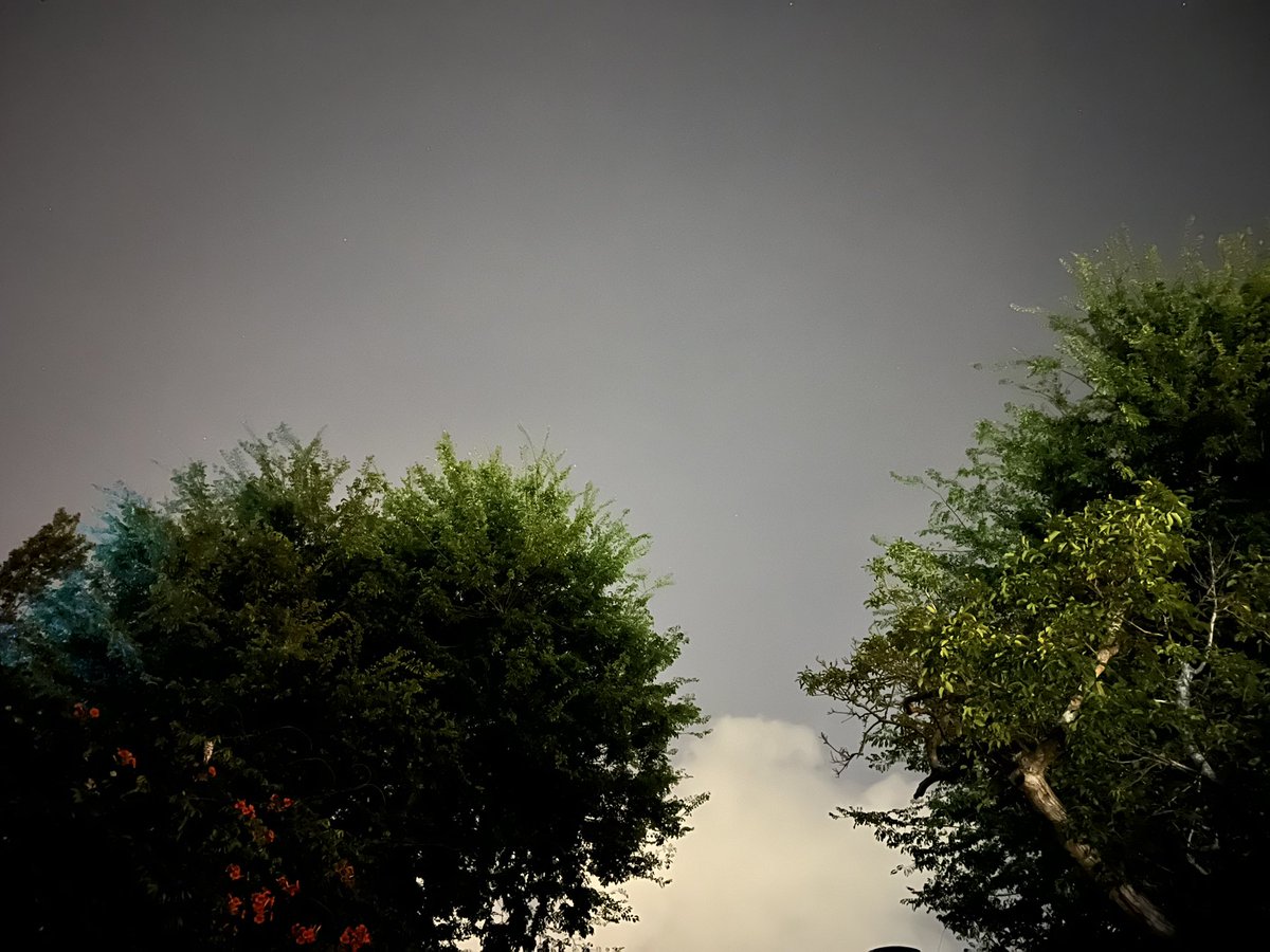 Rui Paiva tweet media