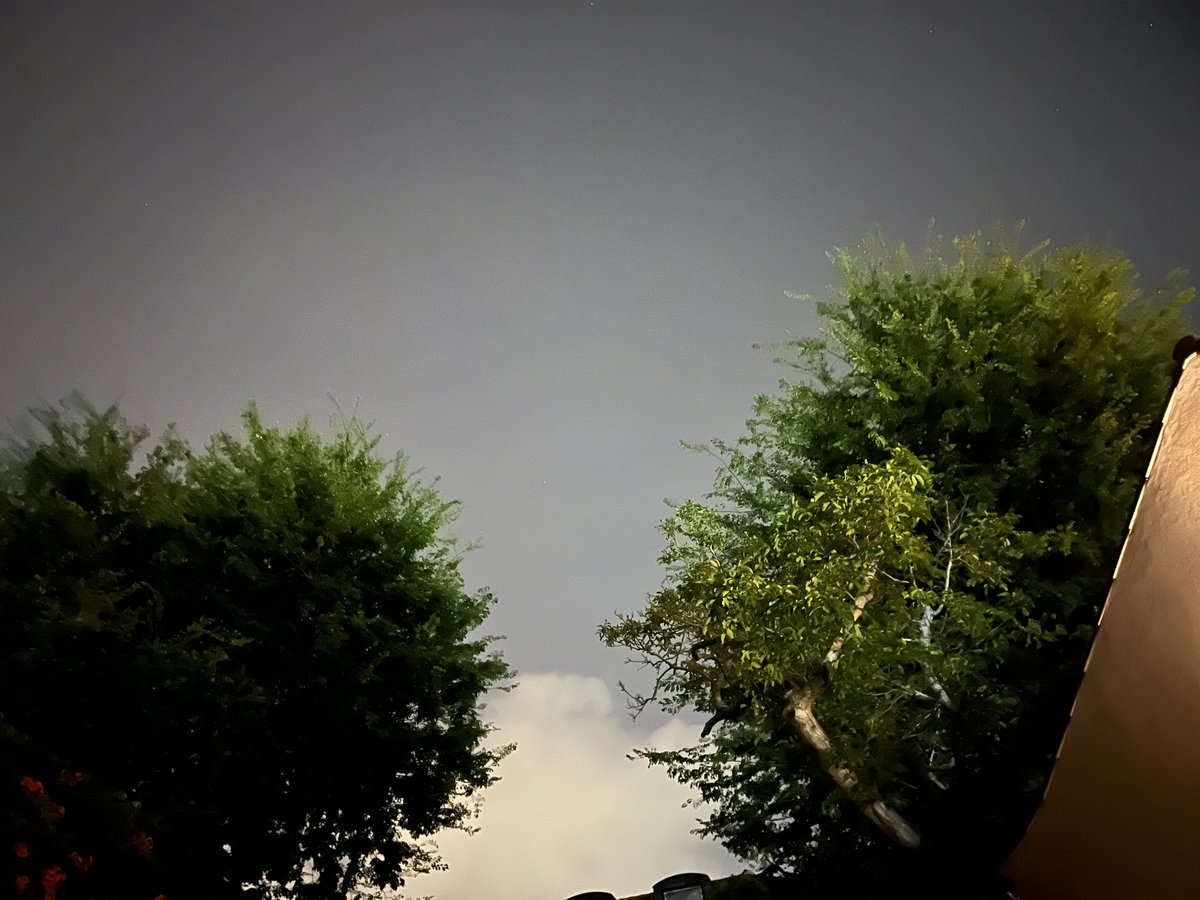 Rui Paiva tweet media