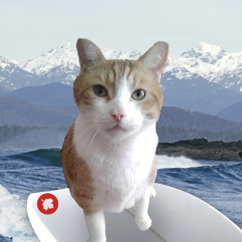Gator The Catahoula (@realfakegator) on Twitter photo #Nipclub Surfing pawty today starting at 4pm EDT. Come join us! Details here: nipclub.blogspot.com
Please RT
<a href="/Slinky_The_Cat/">Slinky The Replicant 🦈❌♠️🏴☠️⚛️🏁</a>
<a href="/Elvis_cat/">Elvis Cat</a>
<a href="/SirLongpaw/">Angel Sir Pickle Longpaw🐾🇨🇦</a>
<a href="/LolaMennola/">Lola 🌈 21/07/25</a>
<a href="/TiggyBean/">TiggyBean</a>
<a href="/TinyPearlCat/">@Tiny Angel Pearl</a>
<a href="/CinniMini2/">Angels Cinni, Oreo, and Hydrox</a>
<a href="/3phibotticelli/">Sassy& Angels Sadie & Phi</a>
<a href="/kittehboi/">Mr. Breeze 🌈1/2/2024 🥓Breeze Bacon</a>
<a href="/TJS12145/">TJS</a>
<a href="/psiangelic/">Angel Heath & His Mommy 💞</a>
<a href="/TweetingTruman/">Truman🐱🐾</a> #Nipclub Surfing pawty today starting at 4pm EDT. Come join us! Details here: nipclub.blogspot.com
Please RT
<a href="/Slinky_The_Cat/">Slinky The Replicant 🦈❌♠️🏴☠️⚛️🏁</a>
<a href="/Elvis_cat/">Elvis Cat</a>
<a href="/SirLongpaw/">Angel Sir Pickle Longpaw🐾🇨🇦</a>
<a href="/LolaMennola/">Lola 🌈 21/07/25</a>
<a href="/TiggyBean/">TiggyBean</a>
<a href="/TinyPearlCat/">@Tiny Angel Pearl</a>
<a href="/CinniMini2/">Angels Cinni, Oreo, and Hydrox</a>
<a href="/3phibotticelli/">Sassy& Angels Sadie & Phi</a>
<a href="/kittehboi/">Mr. Breeze 🌈1/2/2024 🥓Breeze Bacon</a>
<a href="/TJS12145/">TJS</a>
<a href="/psiangelic/">Angel Heath & His Mommy 💞</a>
<a href="/TweetingTruman/">Truman🐱🐾</a>