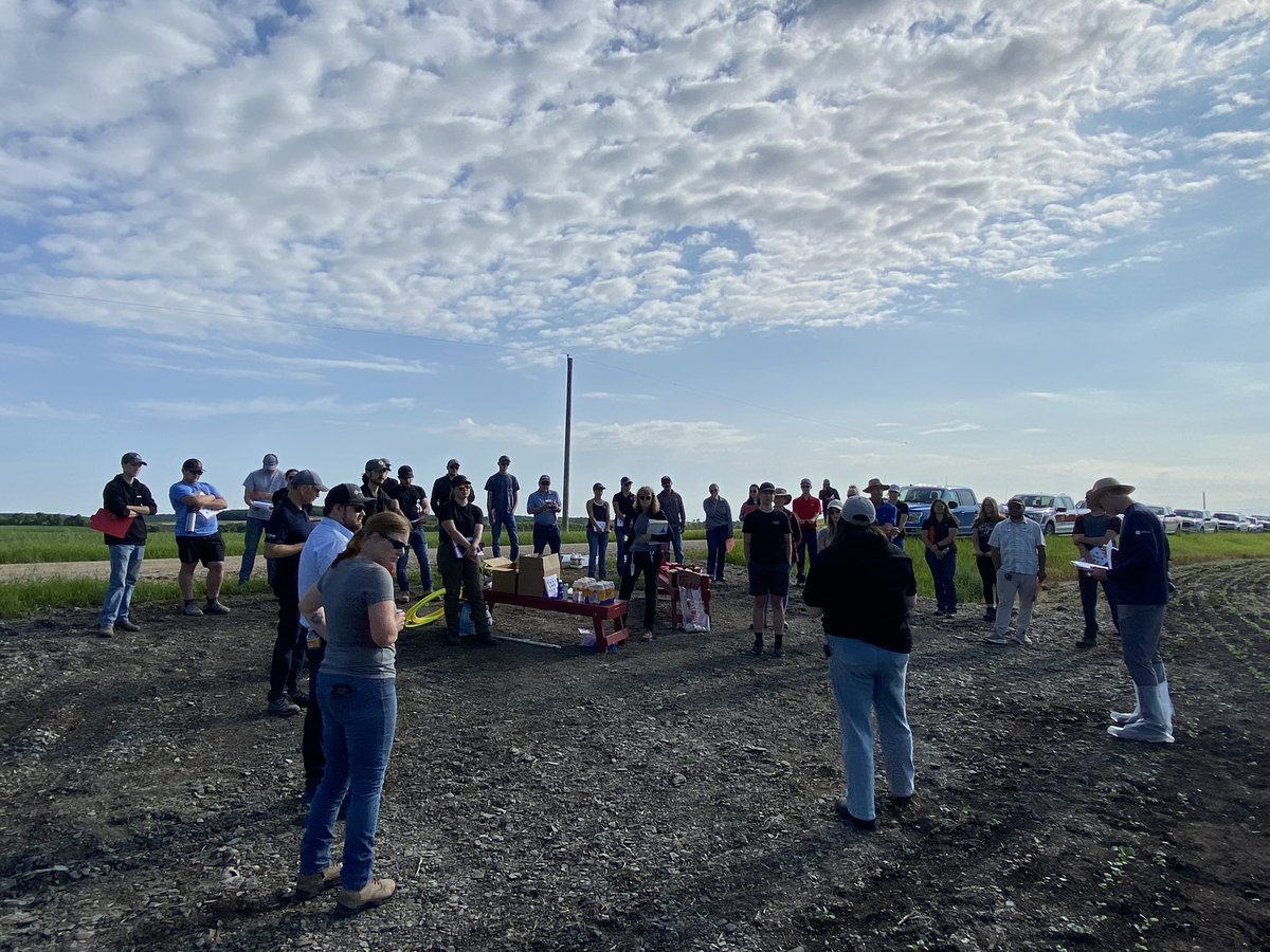 CallumMorrisons's tweet image. 🌱 Join us TOMORROW for the @MBGovAg 2025 Soybean Crop Scouting Clinic!
📅 June 20 | 🕙 10AM–12PM
📍 North of Beausejour | SW 6-14-8E1
🌿 Weed control, staging, IDC & more!
#AgTwitter #MBAg #WestCdnAg #CdnAg