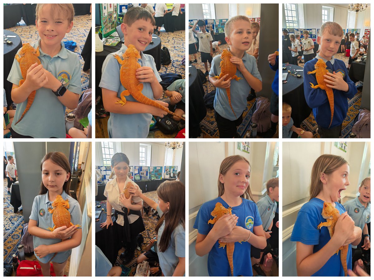 Swiss Valley tweet media