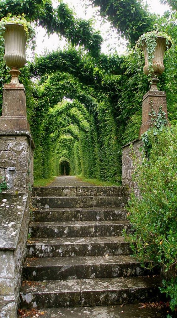 Where does this lead? Ireland 🇮🇪