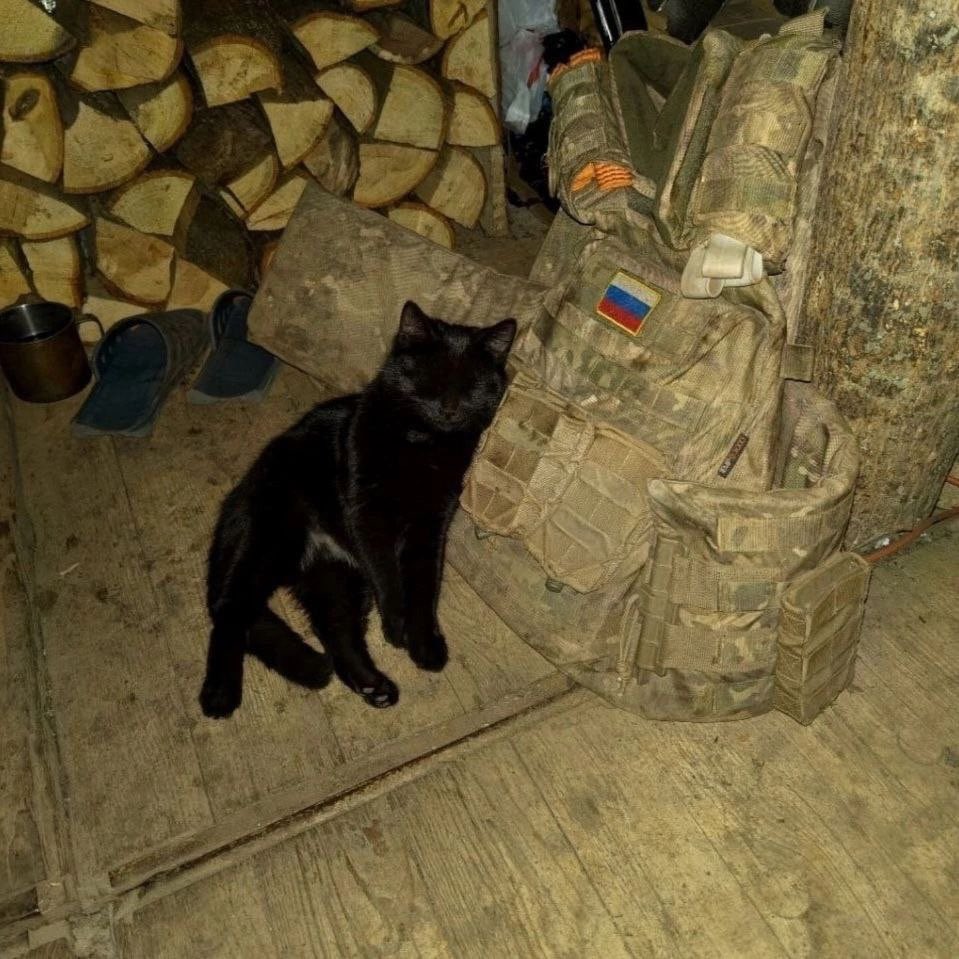 commanderandrei's tweet photo. Sleeping on the job https://t.co/QygN97iXMA