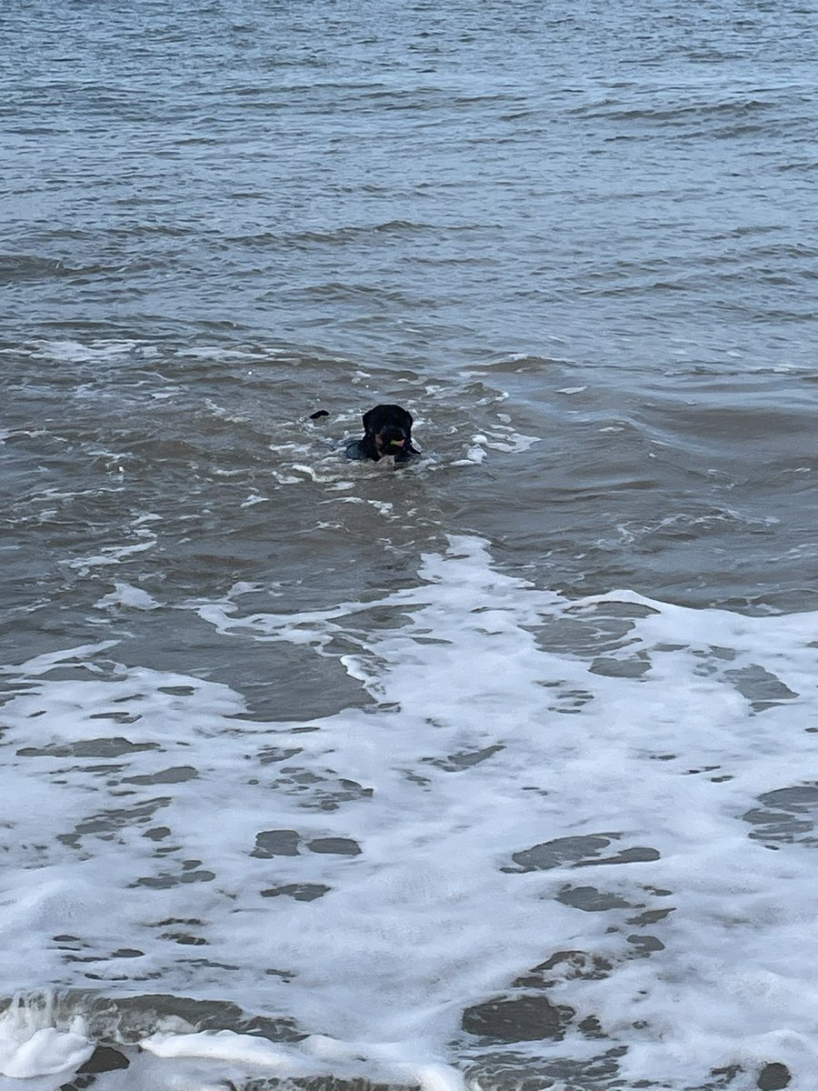 Well f.. that for a game of soldiers. I’m off to have a swim with the dog.