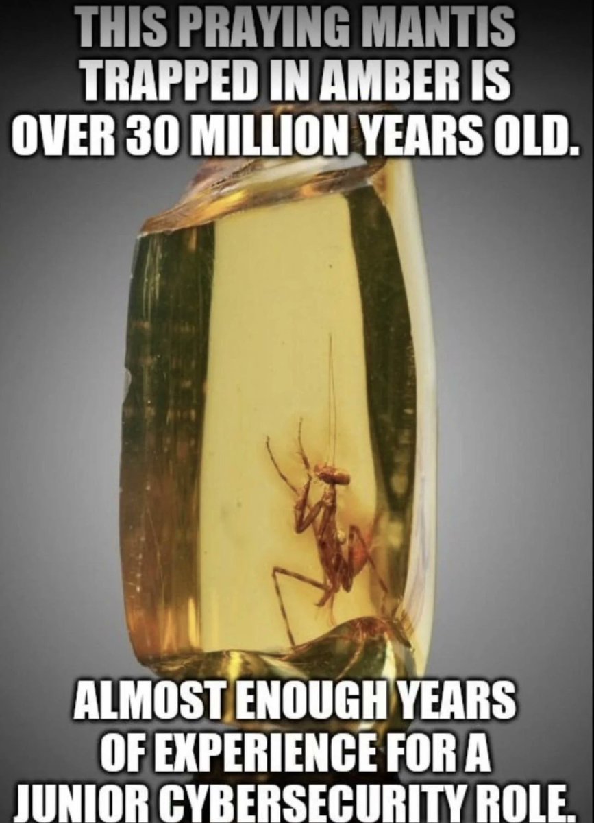 ${Manash} //xplo1t tweet media