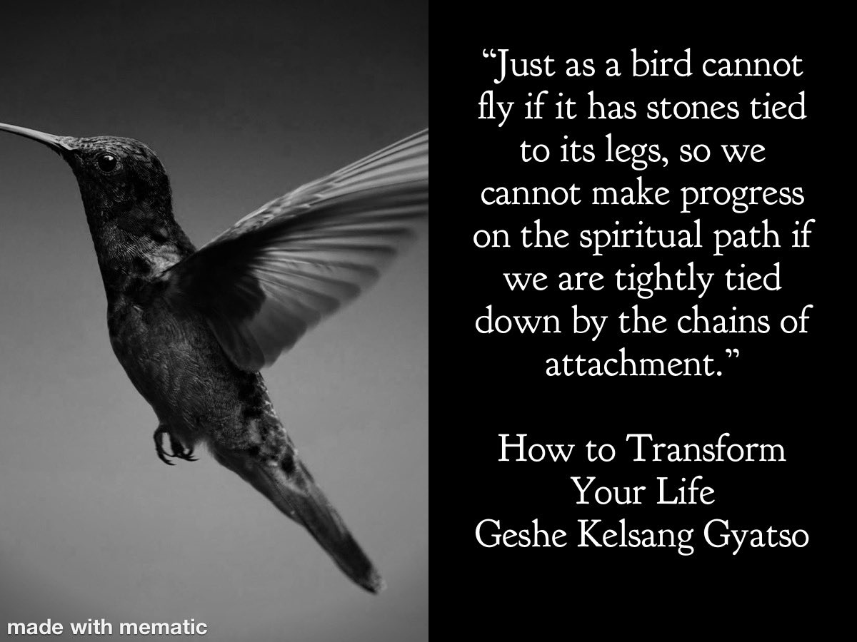 MeditationCT's tweet image. 