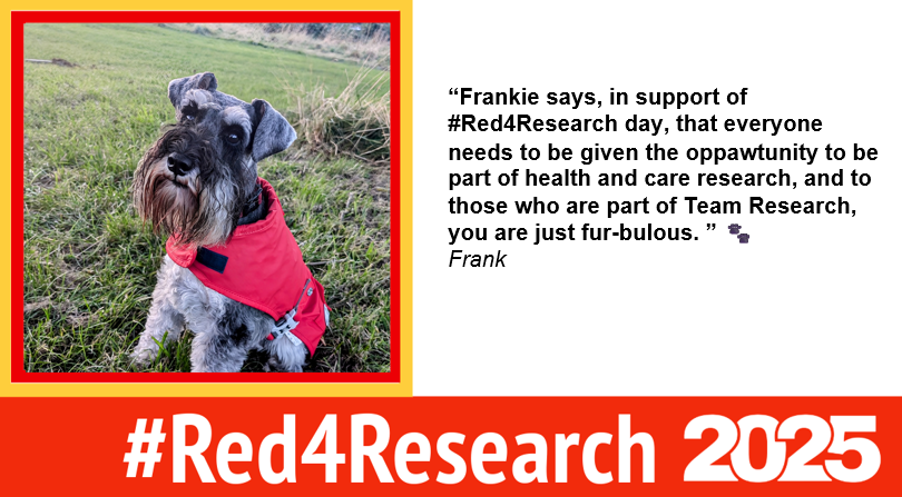 TheRDForum's tweet photo. This is Frank our first #Red4Research dog. Frank is wearing red to support all those contributing to research @AngelaTopping74 We would love to see photos of your #Red4ResearchPet #Red4ResearchDog #Red4Research https://t.co/7LormdWlG7