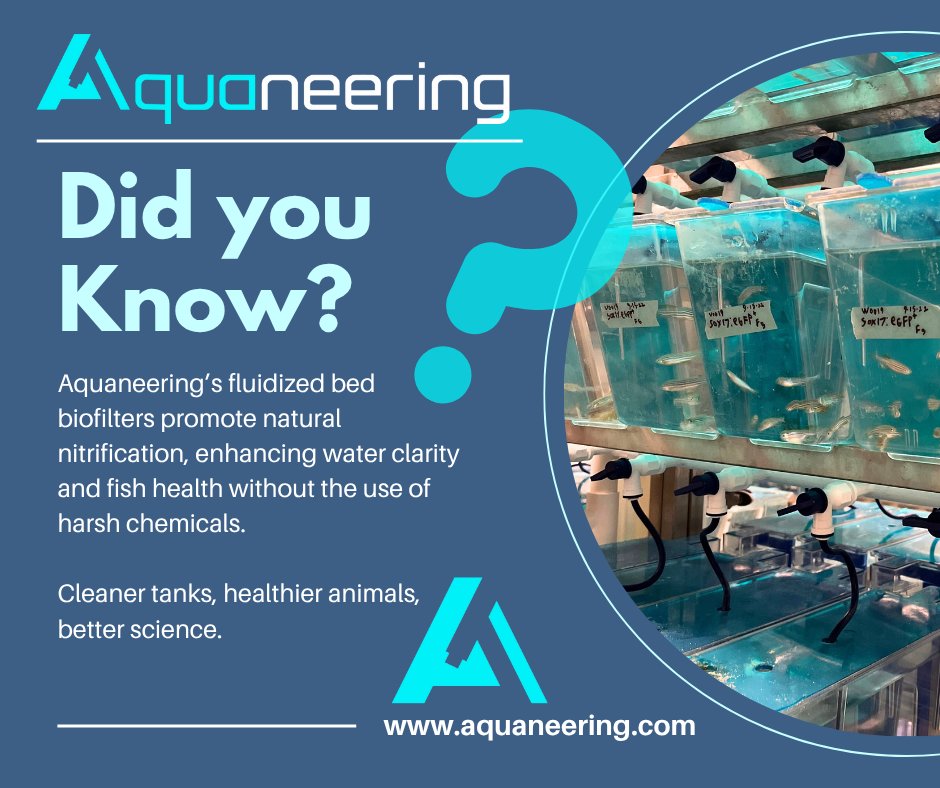Aquaneering (@aquaneering) on Twitter photo Aquaneeringâs fluidized bed biofilters support natural nitrification, maintaining optimal water quality and clarity, without harsh chemicals.
âĄď¸ Learn more: info@aquaneering.com Aquaneeringâs fluidized bed biofilters support natural nitrification, maintaining optimal water quality and clarity, without harsh chemicals.
âĄď¸ Learn more: info@aquaneering.com
