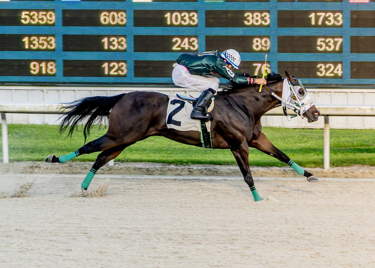 440post's tweet image. 440post.com/san-lorenzo-lu…