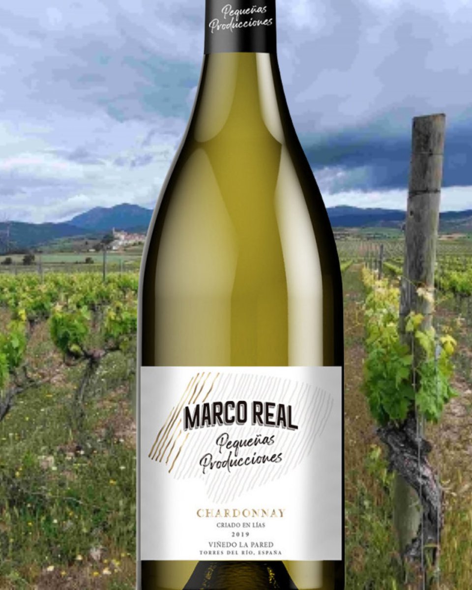 ¡Llega el #verano y apetece un #Chardonnay! Vino elaborado a partir de uvas Chardonnay de nuestros viñedos de la finca Valdeherreros. 🍇🍷🌿 bodegasmarcoreal.com/chardonnay/
#Vino #Bodegas #MarcoReal #Navarra
