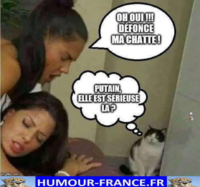 text alternatif