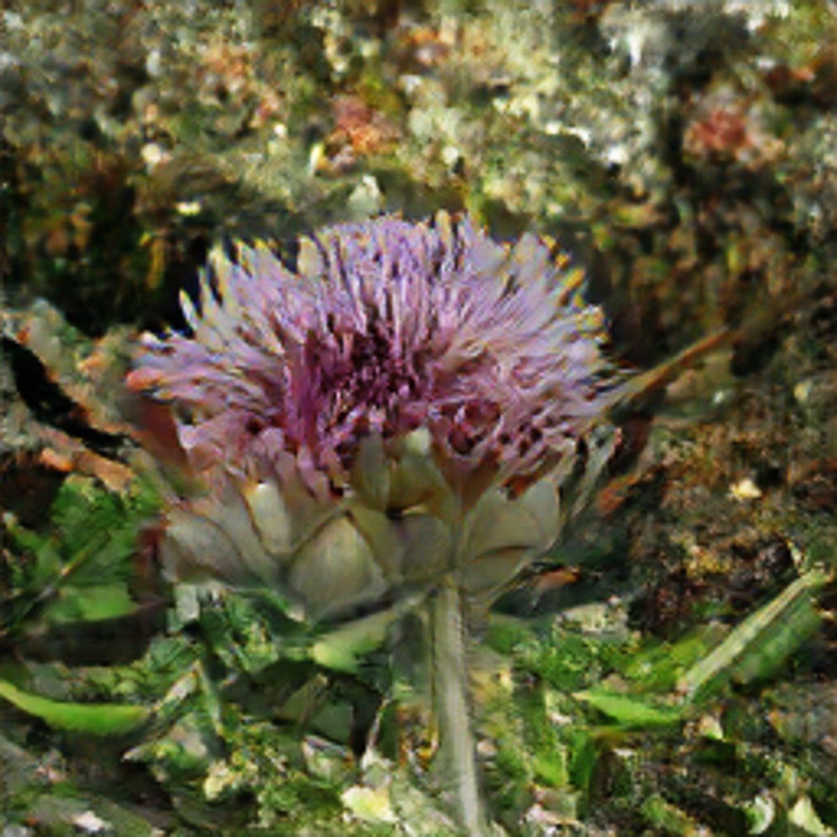 jukkaro127895's tweet image. Nothing says welcome to adult life in Scotland like getting excited about a new dehumidifier. #DampProblems