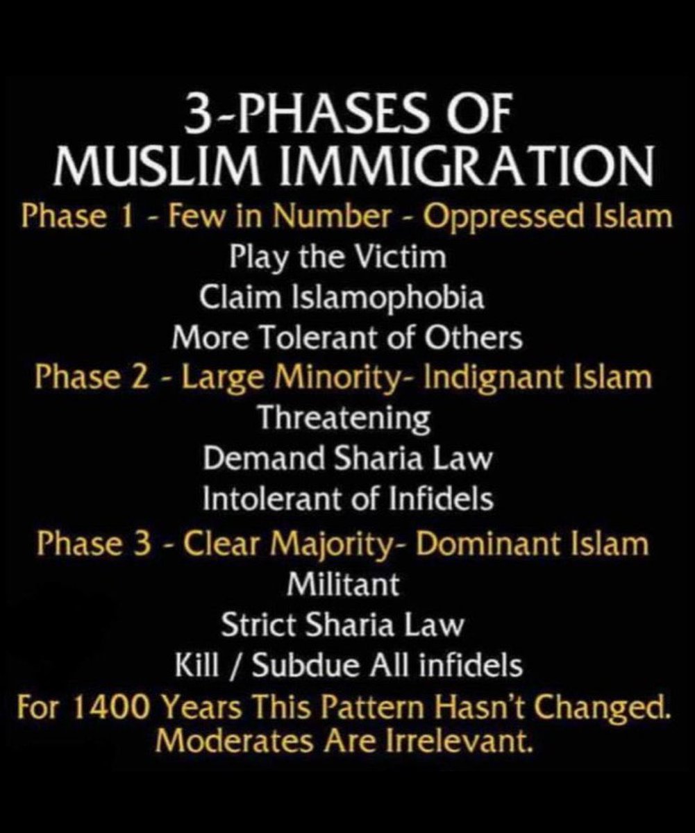 KatteMaga's tweet photo. @DefiyantlyFree #SorosObamaCriminality #RussiaHoax #IllegalAlienInvasion #StopIslamicInfiltration #WarWithinAmerica #StopTheSteal #MAGAisMyFamilyToo #SecureUSABorders #ProsecuteBidenAdminCriminals #PrayForAmerica https://t.co/HMnNRwcA2Y