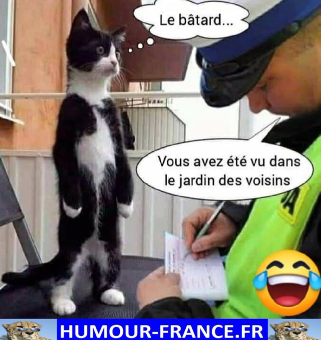 text alternatif