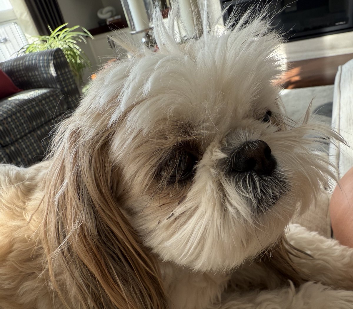 Rainy day cuddles wif my mum.
