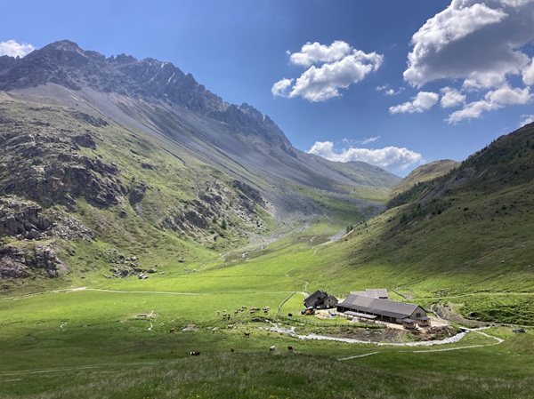 Escursione all'Alpe Trela e Alpisella tinyurl.com/3d2wxvzt