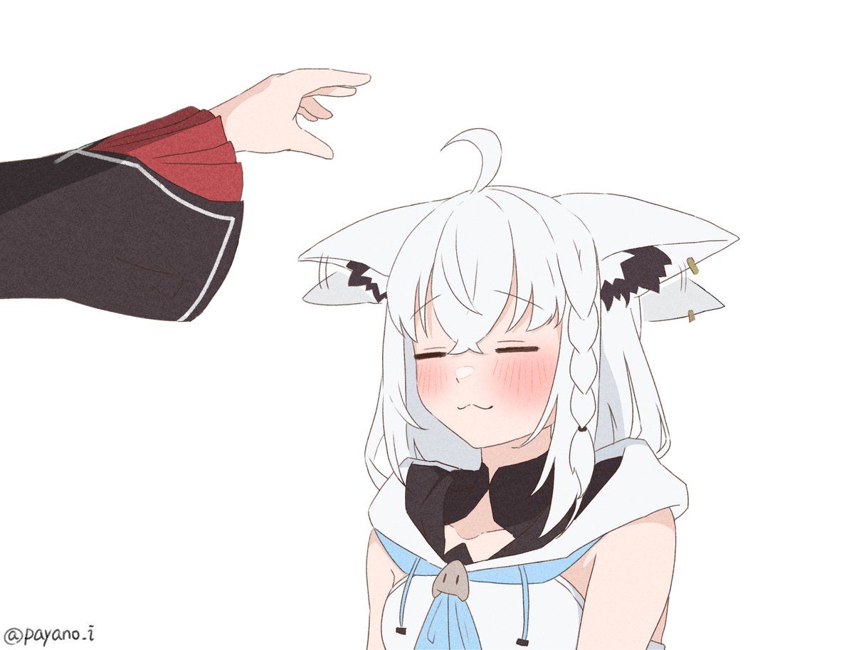 payano_i's tweet image. なで待ち白上 🌽
#絵フブキ