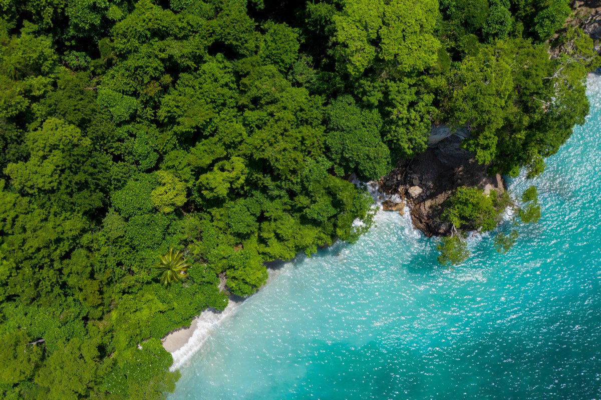 🇨🇷 Si quieres conectar con la naturaleza en clave de turismo responsable y sostenible, tu destino es Costa Rica, un país que lo tiene todo: bosques húmedos y secos, volcanes, playas de ensueño, áreas protegidas... 
Más info 👉 bit.ly/4dn3mr8
#CostaRica #esencialCostaRica