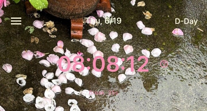 studywenn's tweet image. 06/19 study log 📑

#studytwt