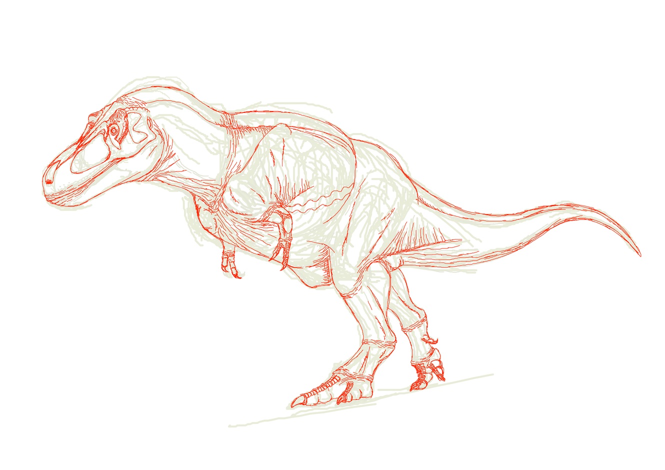 zhuchengtyrannus - Search / X