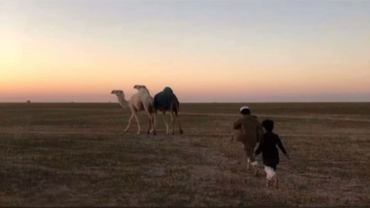 عادك أغلى من مشى على رمل الضلوع
لو دياري عن ديارك .. مسافة ونَهوة