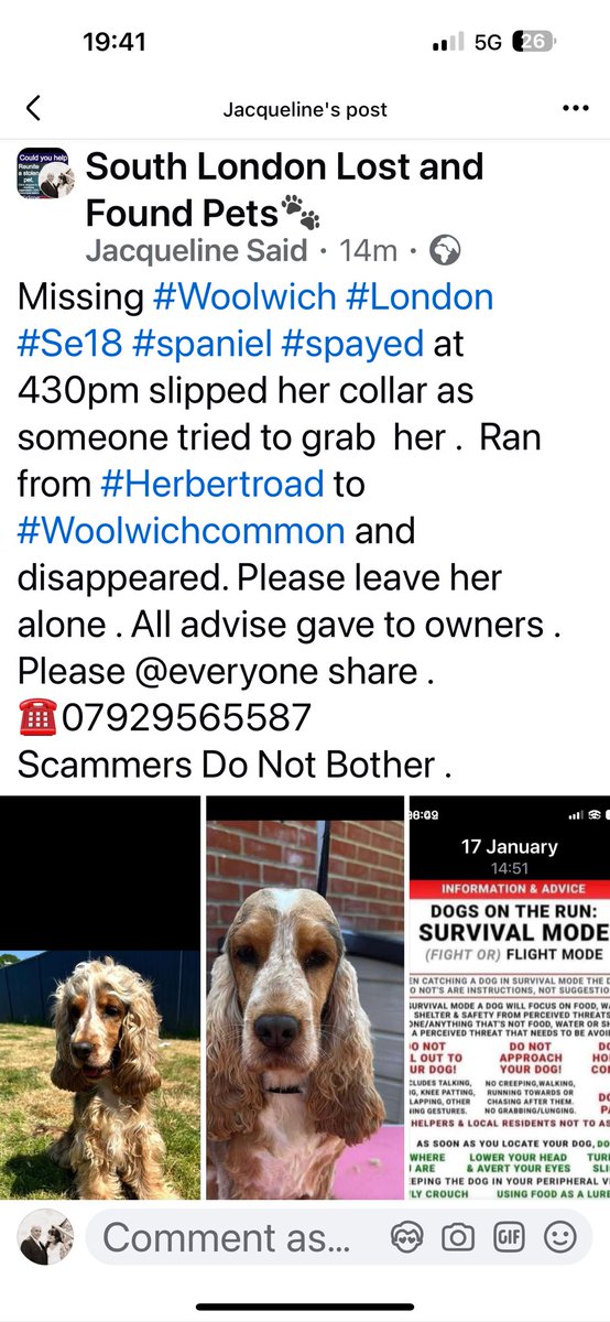 Dogs of Tooting 1 (@jacquisaid) on Twitter photo Missing #Spaniel #Woolwich #se18 <a href="/Royal_Greenwich/">Royal Borough of Greenwich</a> <a href="/MissingPetsGB/">Missing Pets GB</a> <a href="/PcsharonPage/">My Animal Page</a> letโs find her . Missing #Spaniel #Woolwich #se18 <a href="/Royal_Greenwich/">Royal Borough of Greenwich</a> <a href="/MissingPetsGB/">Missing Pets GB</a> <a href="/PcsharonPage/">My Animal Page</a> letโs find her .