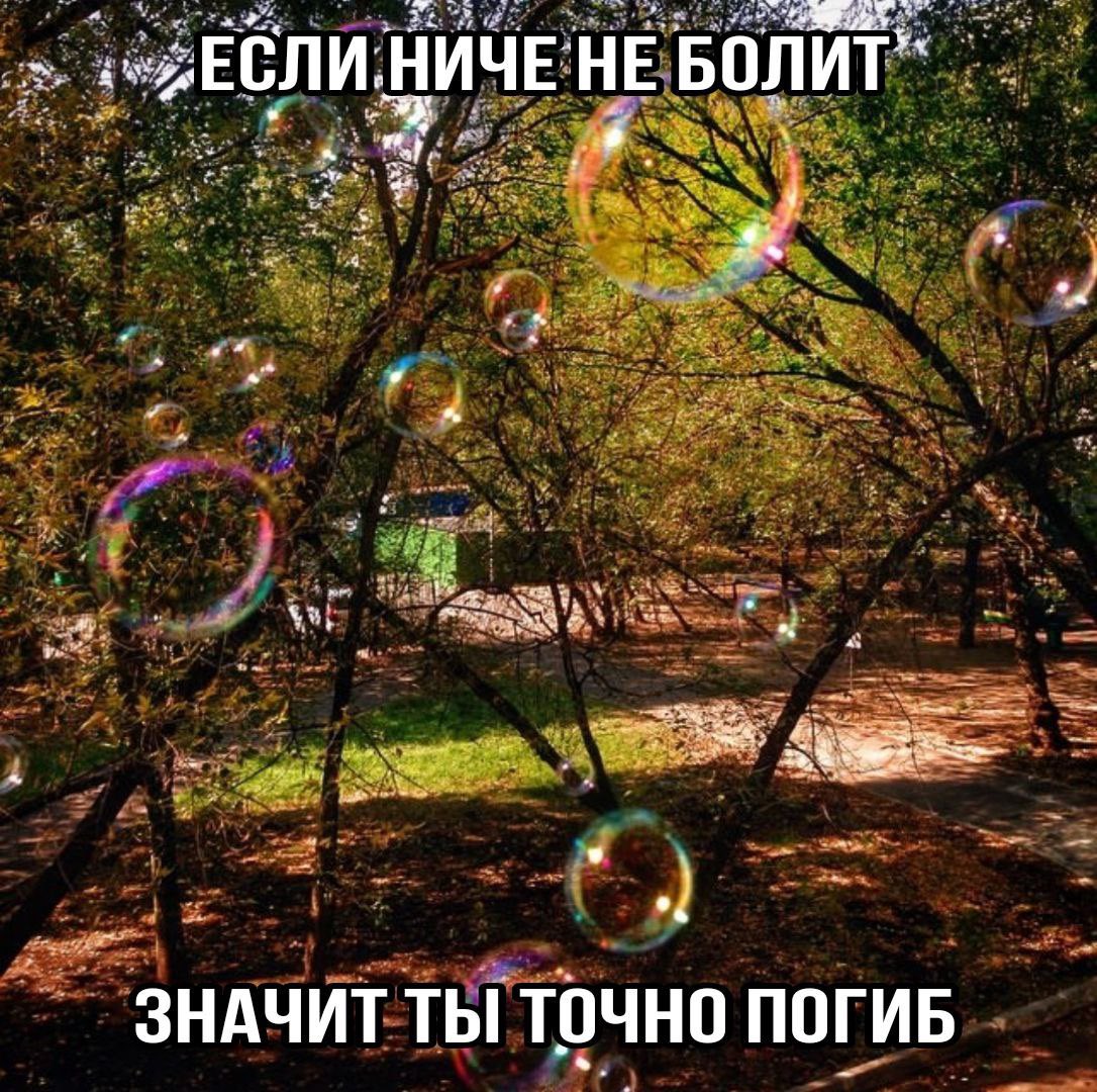 Четыре стены меня душат
Мне нужно выйти на волю
Пленительный запах свободы дороже золотых прутьев

Я хотел бы знать, откуда ветер дует в мои кудри
Но я снова обгоняю, обгоняю эти будни