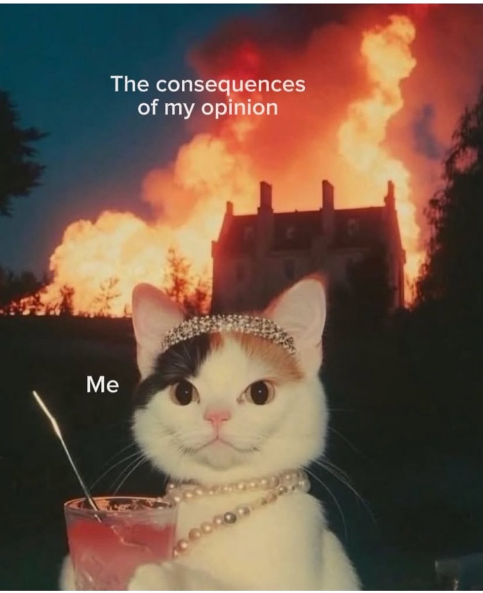 Manouche tweet media