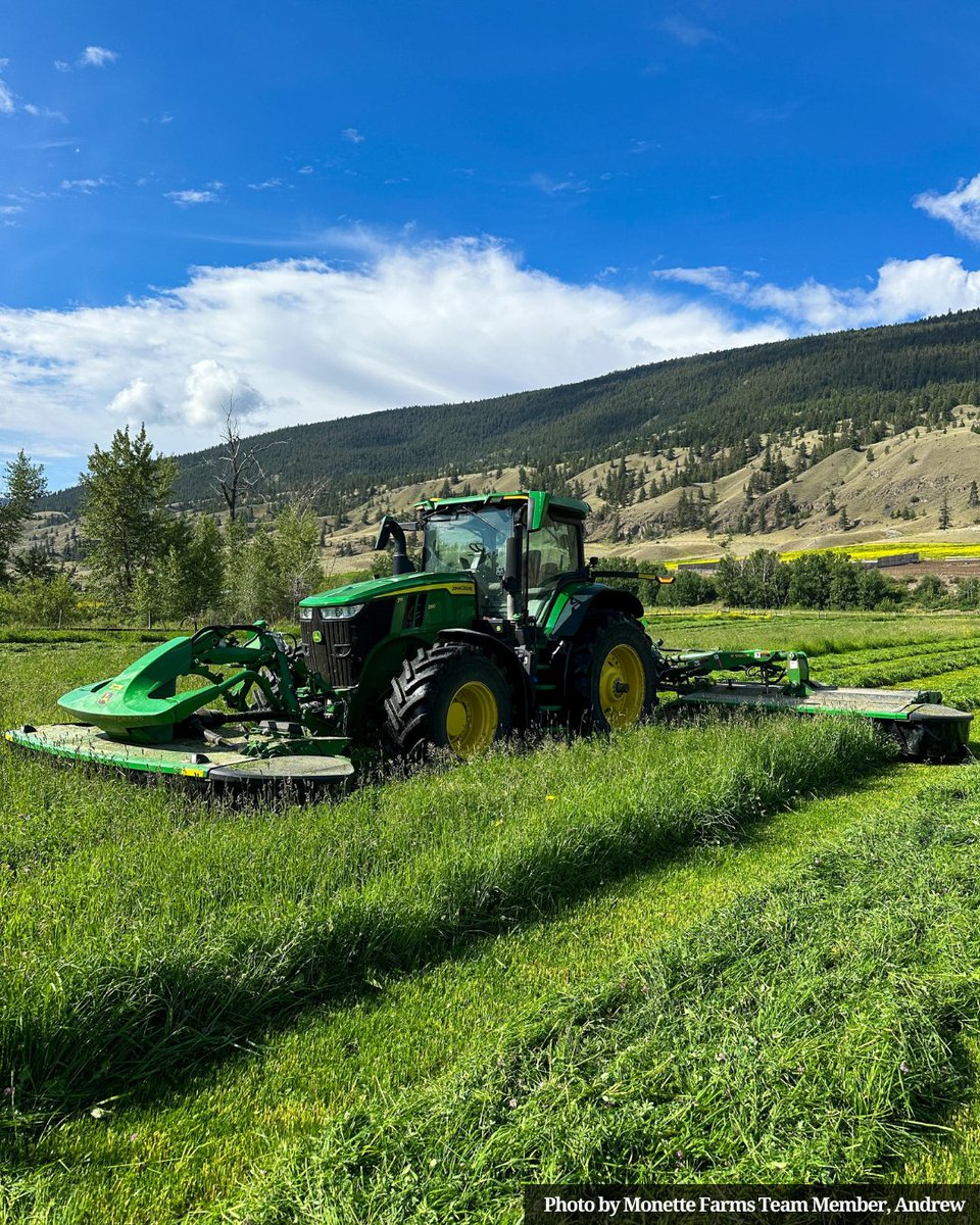 farms_monette's tweet image. The girls gotta eat! 🐮🌾 

#CowChow #Silage #CattleRanch #FarmLife