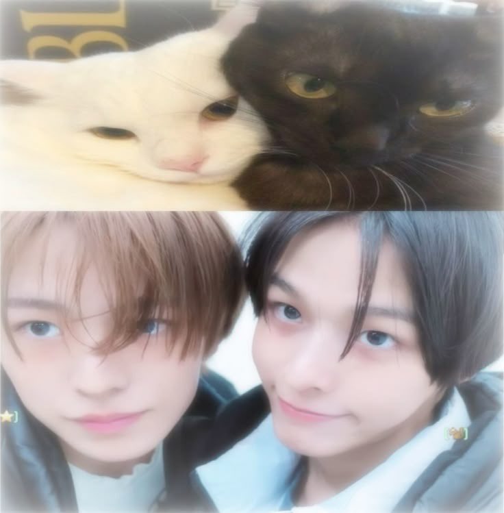 _rootbearr's tweet image. ~ 𝓌𝑒𝓁𝒸𝑜𝓂𝑒 𝓉𝑜 𝓉𝒾𝓃𝑒&apos;𝓈 𝒸𝒶𝓇𝓉~

⤷ bentables: #tinluversells
⤷ proofs: #tinceipts
⤷ mails: #tinemailzz
⤷ wishlist: #wishitine 
loc: mm 
mod: direct jnt / lalamove

 ≽^•༚• ྀི≼  rcbyf: rubycake.carrd.co