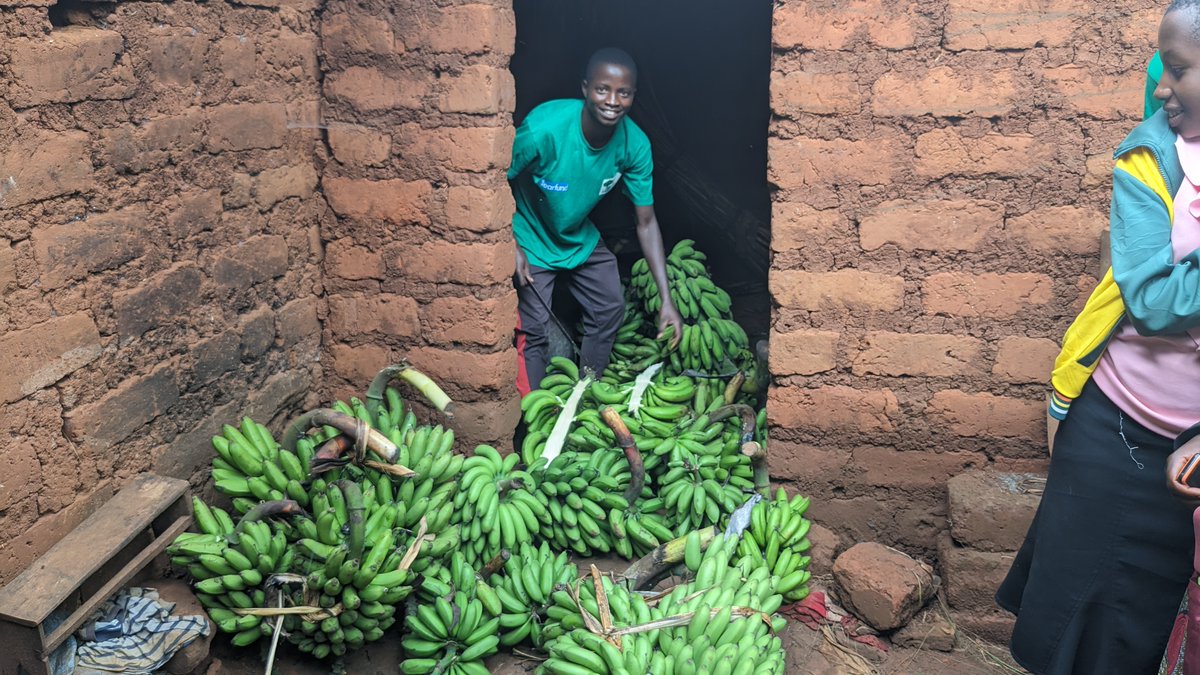 Floris,un jeune qui a transformé sa vie grâce à un prêt de son Groupement d’Entraide soutenu par Greenland Alliance. De deux bananes à un élevage de porc prometteur, son histoire est une vraie leçon de courage et d’entrepreneuriat. 
<a href="/abatwip257/"># Abatwip ~𝕏</a> 
<a href="/WVBurundi/">World Vision Burundi</a> 
<a href="/Aniyonizigiye/">Acher Niyonizigiye, PhD</a>