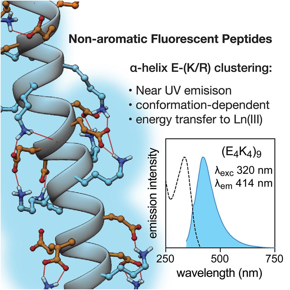 NanoscopyLab (@pphotobiology) on Twitter photo Ever wonder if peptides without aromatic amino acids can fluoresce? Here you have the answer! So proud of our featured paper in <a href="/CellRepPhysSci/">Cell Reports Physical Science</a>, amazing luminiscence where there should not be! Great collaboration between <a href="/ChemBioUSC/">M. Eugenio Vázquez</a>, <a href="/ciqususc/">CiQUS</a> & <a href="/CanalUGR/">Universidad Granada</a>
cell.com/cell-reports-p… Ever wonder if peptides without aromatic amino acids can fluoresce? Here you have the answer! So proud of our featured paper in <a href="/CellRepPhysSci/">Cell Reports Physical Science</a>, amazing luminiscence where there should not be! Great collaboration between <a href="/ChemBioUSC/">M. Eugenio Vázquez</a>, <a href="/ciqususc/">CiQUS</a> & <a href="/CanalUGR/">Universidad Granada</a>
cell.com/cell-reports-p…