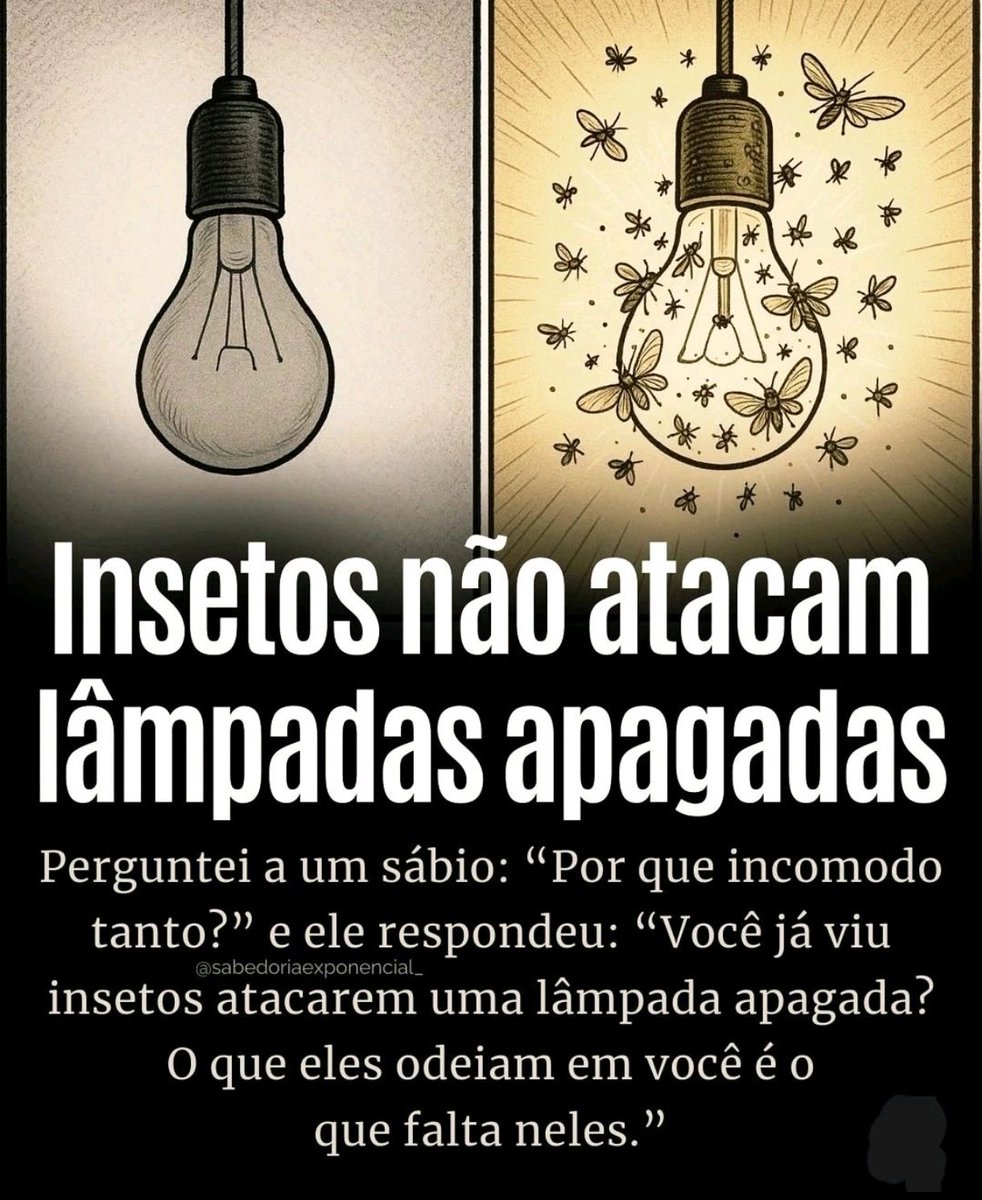 Jorge Marques tweet media
