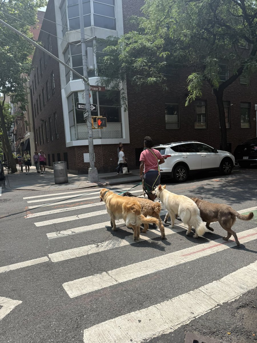 GM GM 

from the sunny and dog filled streets of New York City