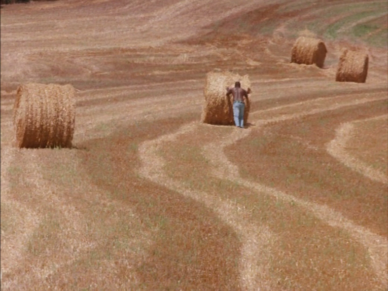 At the First Breath of Wind | Al primo soffio di vento (2002,Franco Piavoli)