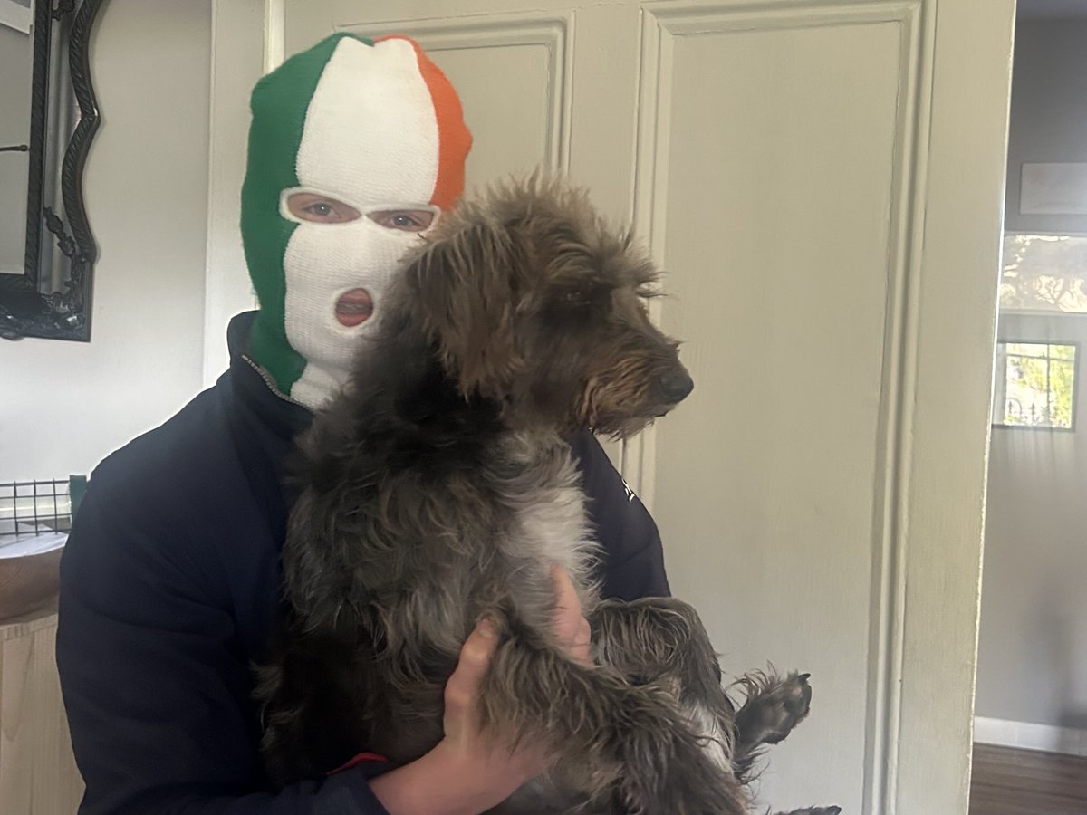 ⁦⁦<a href="/KNEECAPCEOL/">KNEECAP</a>⁩ Buster, an madra nach labhriann ach Gaelige ag tnúth le Kneecap a chloisint i Fairview anocht. Tá sé sásta bualadh libh más finn libh é