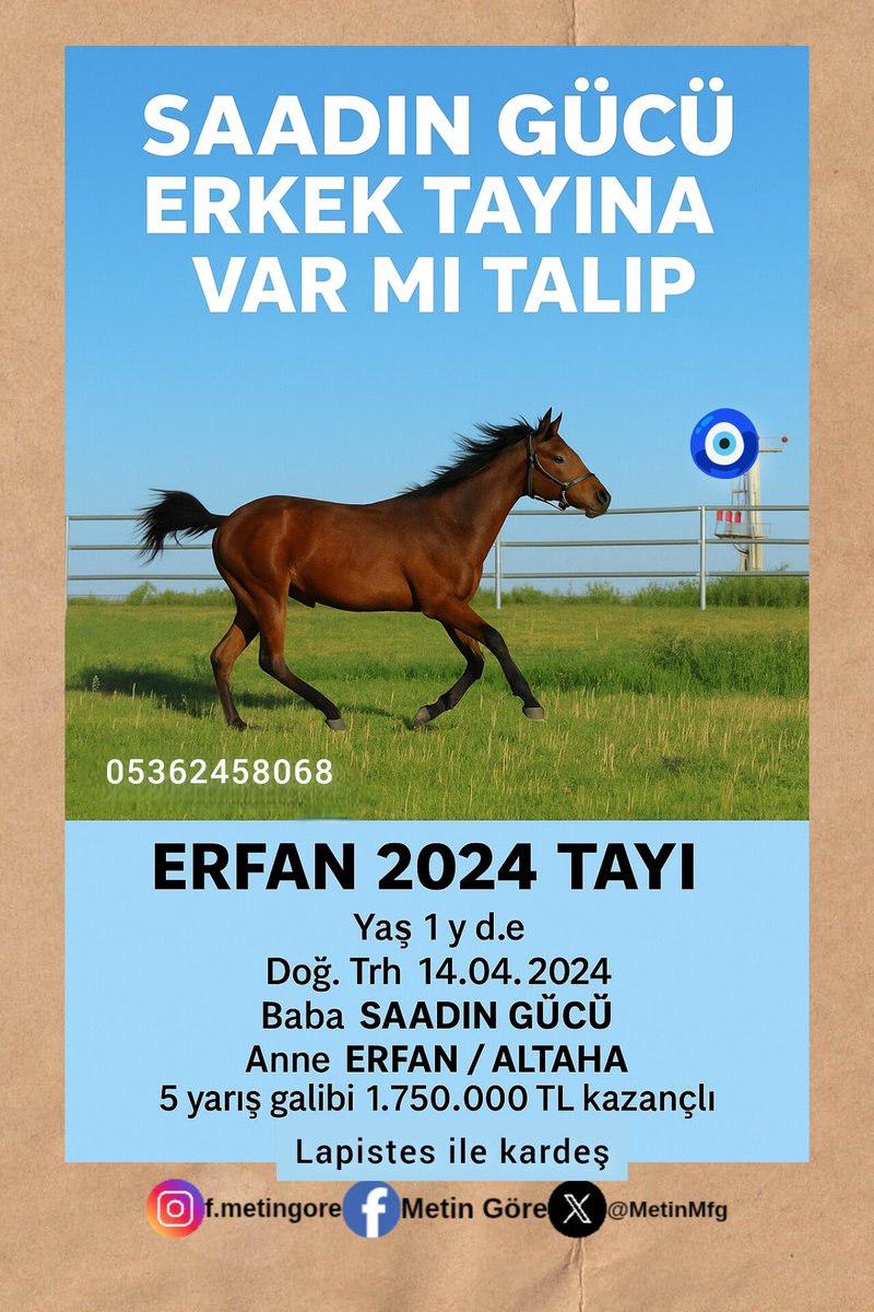 MetinMfg's tweet photo. ERFAN 2024 Tayı
Yaş 1 y d.e
Doğ. Trh 14.04.2024
Baba #SAADINGÜCÜ
Anne ERFAN / #ALTAHA
#varmitalip @varmitalip https://t.co/AXUQSsSC1m