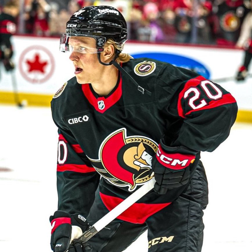 Steve Staios keeps cooking🔥

Fabian Zetterlund | 3 x $4.275M AAV
#GoSensGo